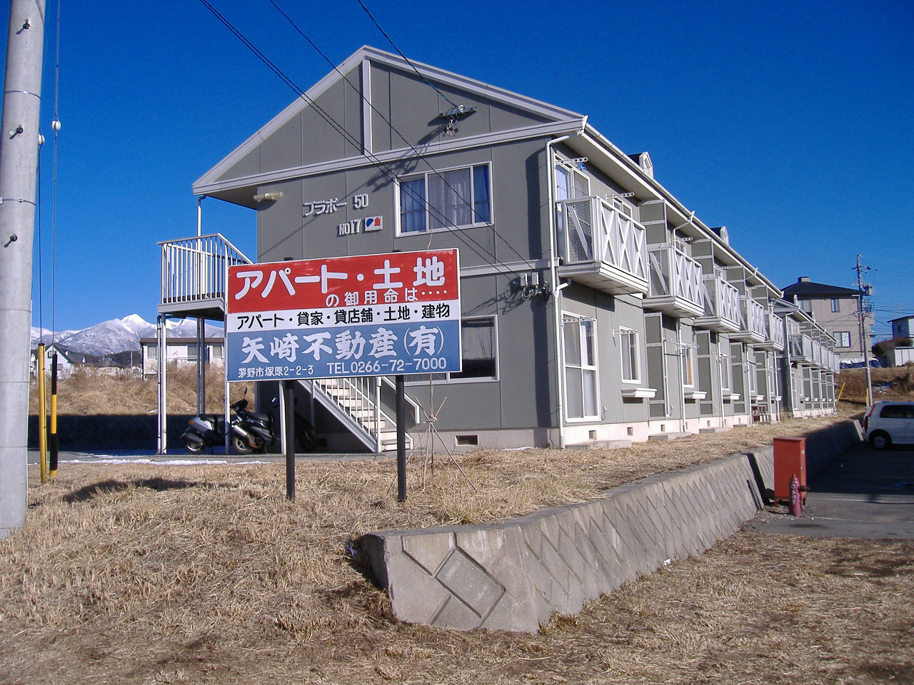 ブラボー50　No.17