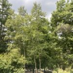 窓からの景色 窓からの景色