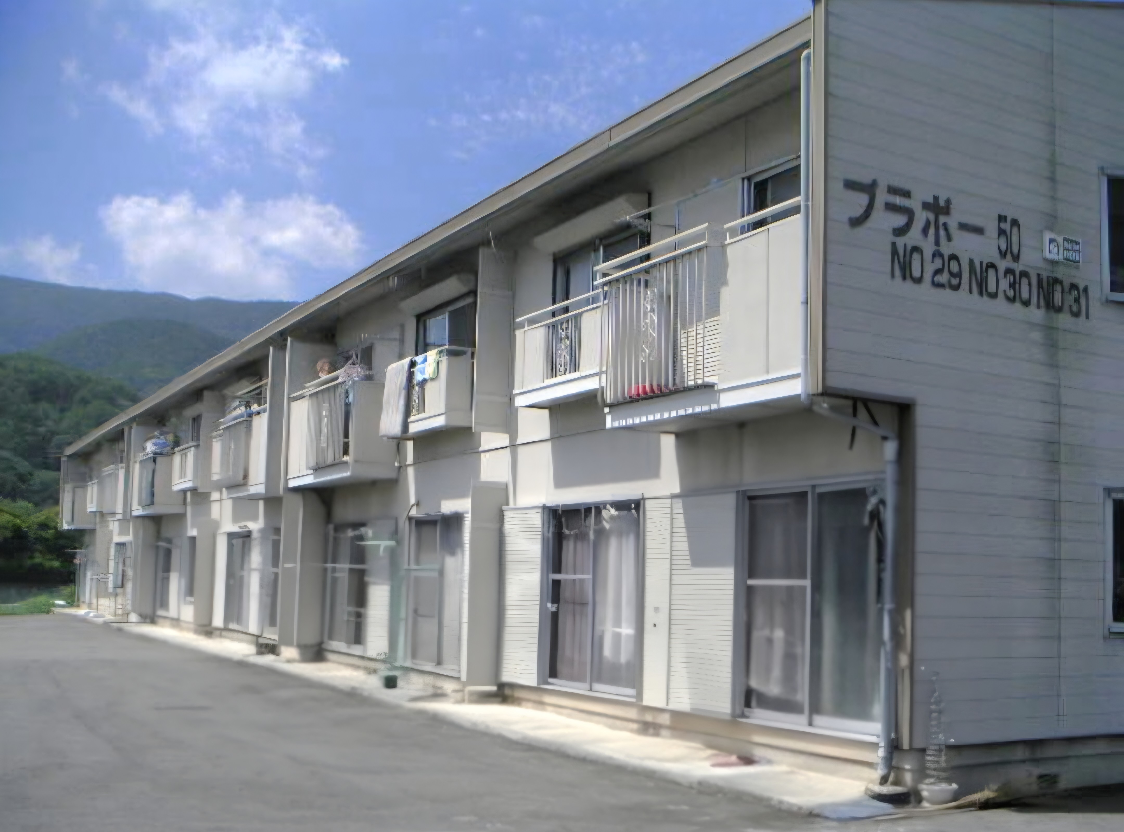 ﾌﾞﾗﾎﾞｰ50　NO30‐101